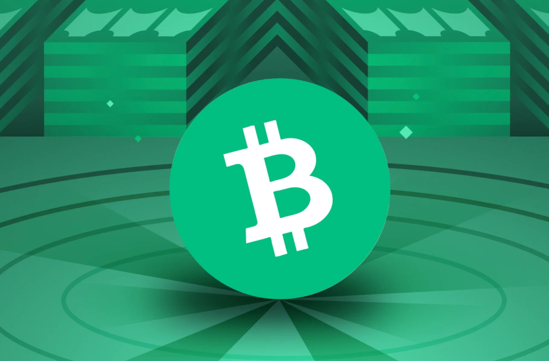 Bitcoin Cash